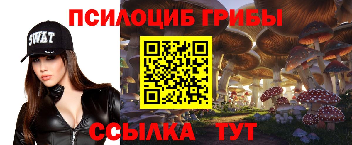 где продают наркотики  Вход с VPN  Удомля  Галлюциногенные грибы Psilocybe 